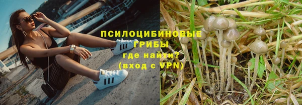 mdpv Касимов